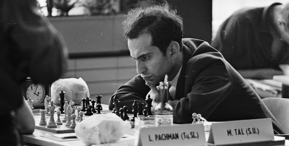 Biographie du champion d'échecs azeaezaze