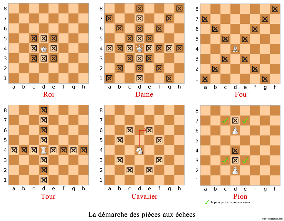 Comment jouer aux échecs : la démarche des pièces sur un échiquier en image