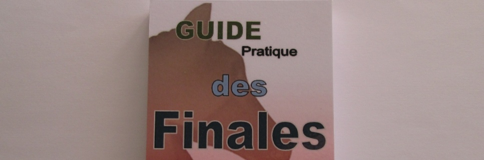 Revue et avis du guide pratique des finales de Patrick JOUHANNET du site Echecsprogress.fr